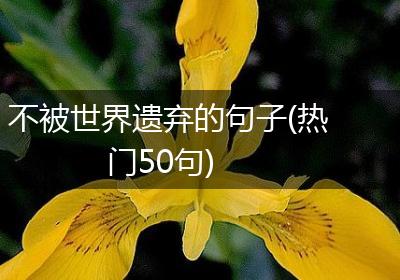 不被世界遗弃的句子(热门50句)