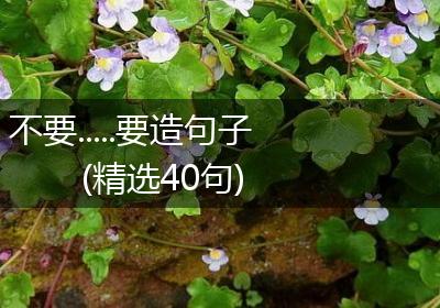 不要.....要造句子(精选40句)