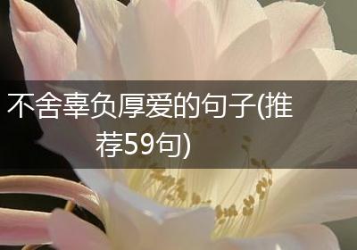不舍辜负厚爱的句子(推荐59句)