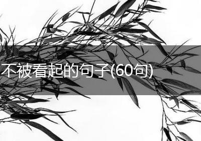 不被看起的句子(60句)
