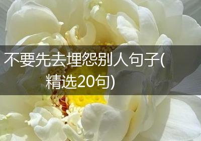 不要先去埋怨别人句子(精选20句)