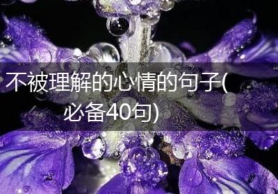 不被理解的心情的句子(必备40句)