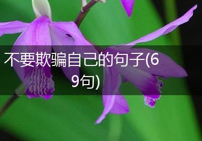 不要欺骗自己的句子(69句)