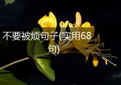不要被烦句子(实用68句)
