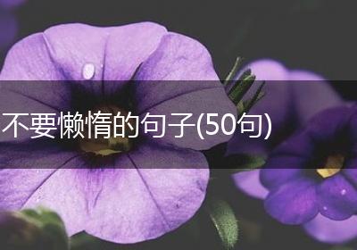 不要懒惰的句子(50句)