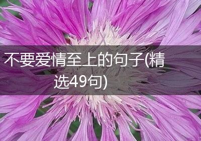 不要爱情至上的句子(精选49句)