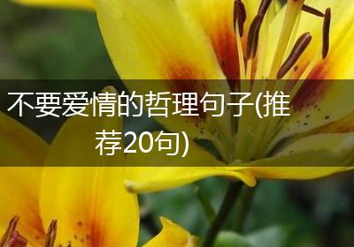 不要爱情的哲理句子(推荐20句)