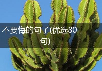 不要悔的句子(优选80句)