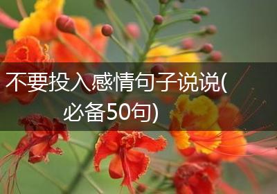 不要投入感情句子说说(必备50句)