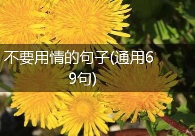 不要用情的句子(通用69句)