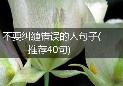 不要纠缠错误的人句子(推荐40句)