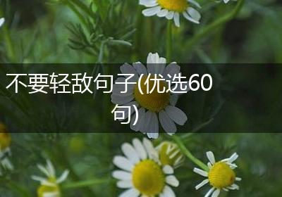 不要轻敌句子(优选60句)
