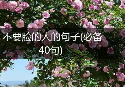 不要脸的人的句子(必备40句)