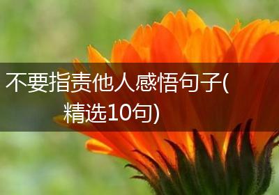 不要指责他人感悟句子(精选10句)