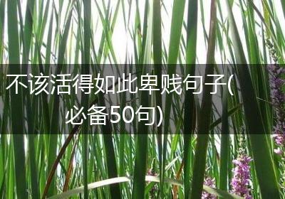 不该活得如此卑贱句子(必备50句)