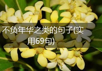 不负年华之类的句子(实用69句)