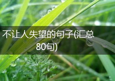 不让人失望的句子(汇总80句)