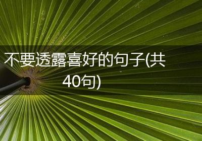 不要透露喜好的句子(共40句)