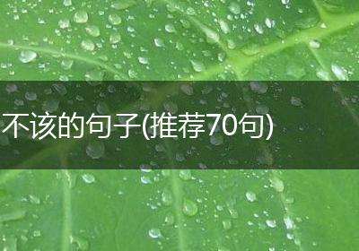 不该的句子(推荐70句)