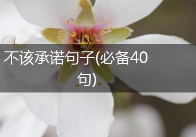 不该承诺句子(必备40句)