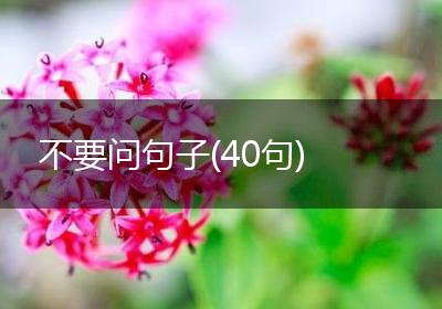 不要问句子(40句)