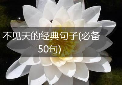不见天的经典句子(必备50句)