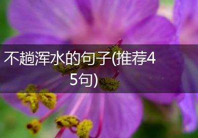 不趟浑水的句子(推荐45句)