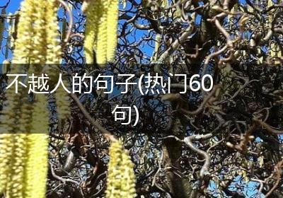不越人的句子(热门60句)