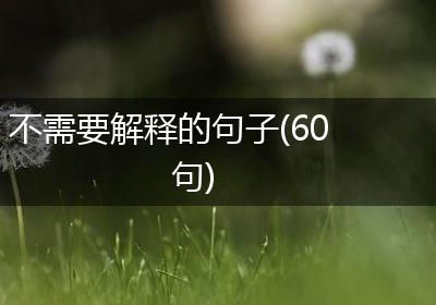不需要解释的句子(60句)