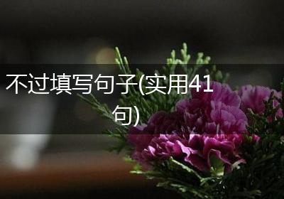 不过填写句子(实用41句)