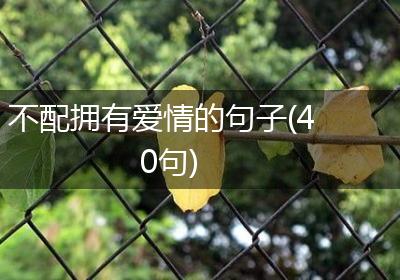 不配拥有爱情的句子(40句)
