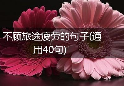 不顾旅途疲劳的句子(通用40句)