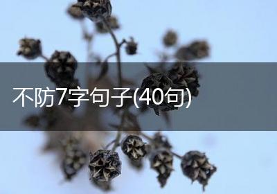 不防7字句子(40句)