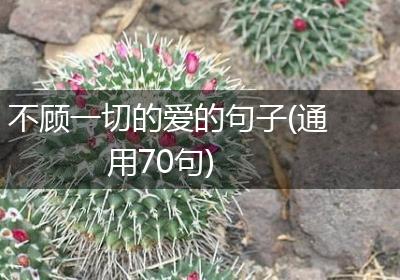 不顾一切的爱的句子(通用70句)