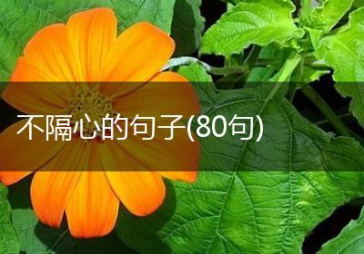 不隔心的句子(80句)