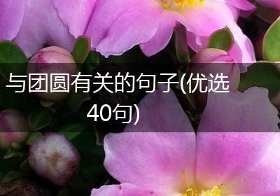 与团圆有关的句子(优选40句)