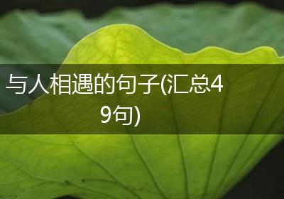 与人相遇的句子(汇总49句)