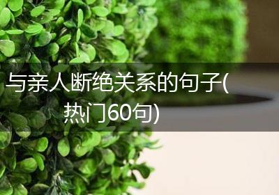 与亲人断绝关系的句子(热门60句)