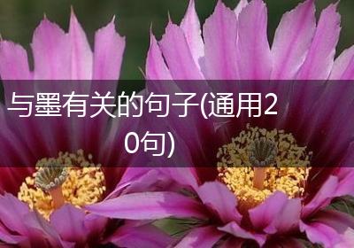 与墨有关的句子(通用20句)
