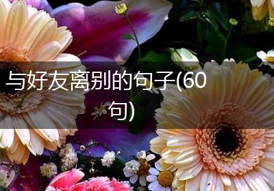 与好友离别的句子(60句)