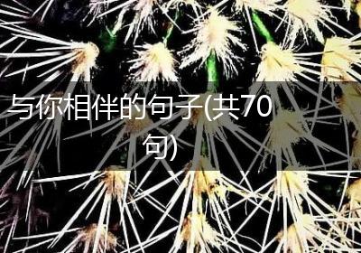 与你相伴的句子(共70句)