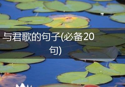 与君歌的句子(必备20句)