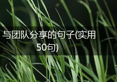与团队分享的句子(实用50句)