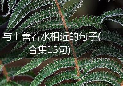 与上善若水相近的句子(合集15句)