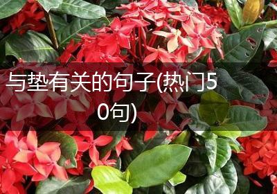 与垫有关的句子(热门50句)