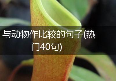 与动物作比较的句子(热门40句)