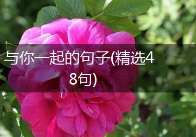 与你一起的句子(精选48句)