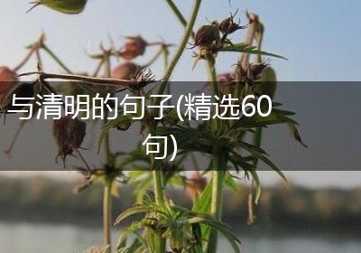 与清明的句子(精选60句)