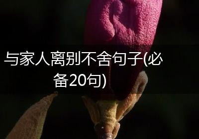 与家人离别不舍句子(必备20句)