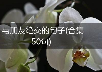 与朋友绝交的句子(合集50句)